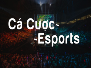 cá cược esport