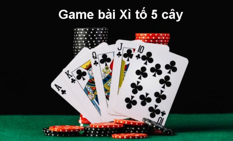 Các thuật ngữ thường gặp trong Bet365 Bài Xì Tố